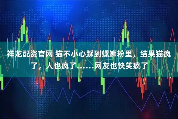 祥龙配资官网 猫不小心踩到螺蛳粉里，结果猫疯了，人也疯了……网友也快笑疯了