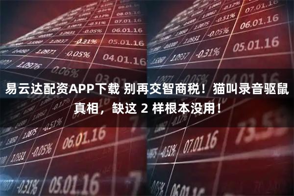 易云达配资APP下载 别再交智商税！猫叫录音驱鼠真相，缺这 2 样根本没用！