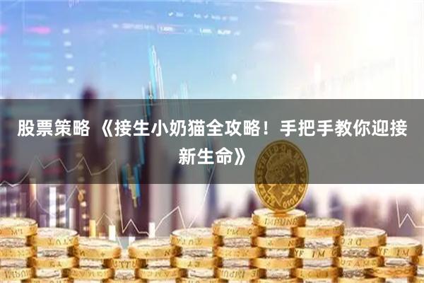 股票策略 《接生小奶猫全攻略！手把手教你迎接新生命》